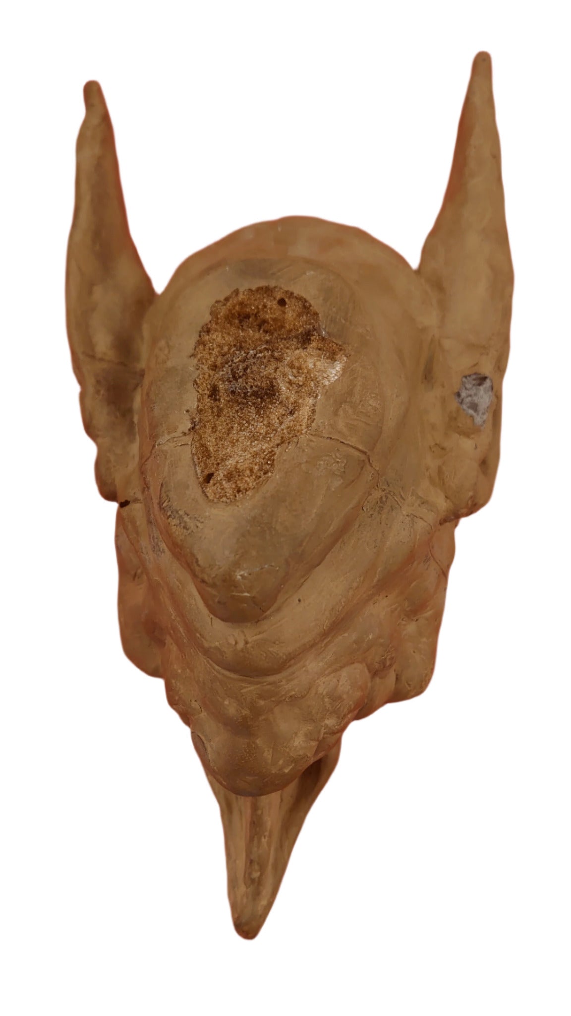 Production Made House Elf Prop Diagon Alley Wizarding World Harry Potter Florida USA