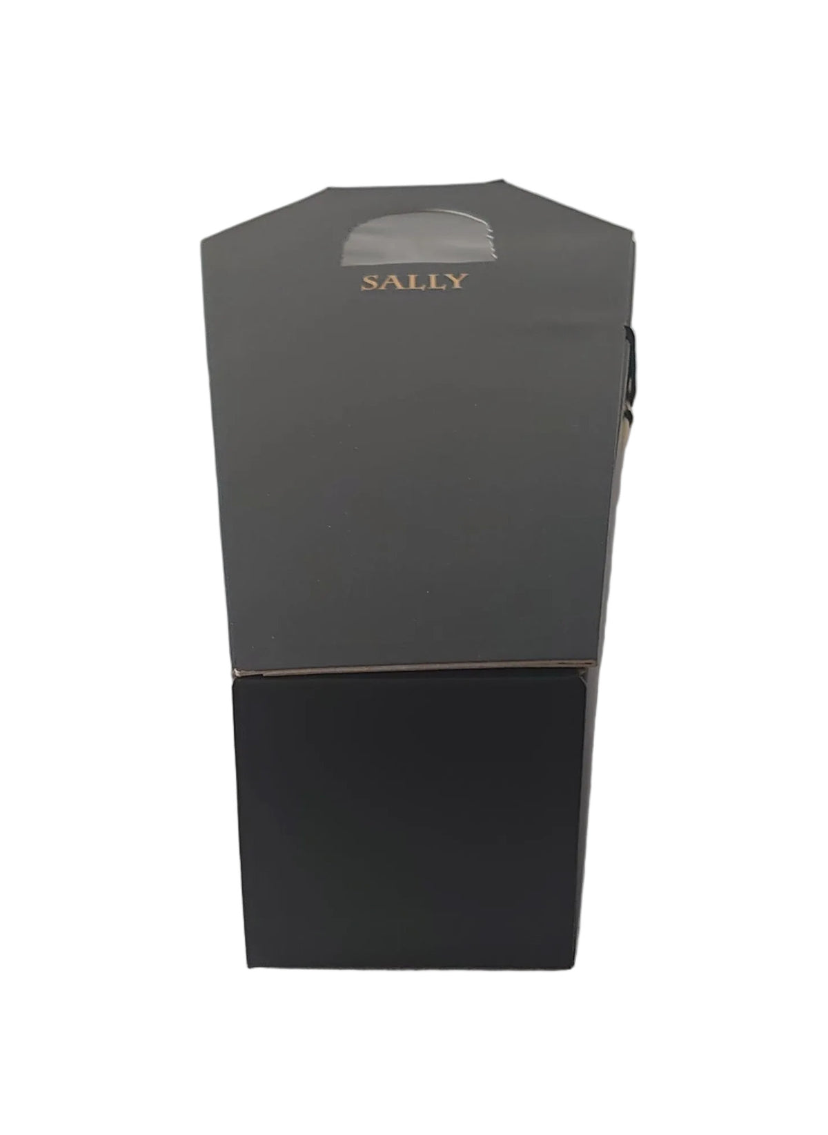 Touchstone Pictures First Issue Sally In A Black Coffin From Tim Burton's The Nightmare Before Christmas By Jun Planning Inc.