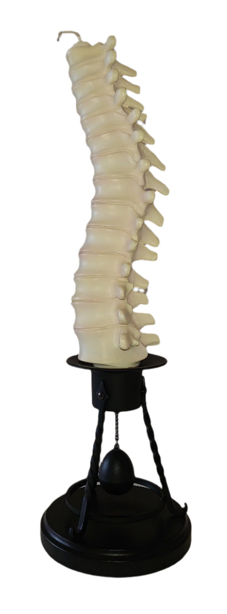 Professor Remus Lupin Vertebrae Candle Stick Holder By Noble Collection From Harry Potter And The Prisoner Of Azkaban