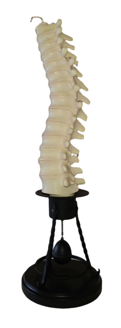Professor Remus Lupin Vertebrae Candle Stick Holder By Noble Collection From Harry Potter And The Prisoner Of Azkaban