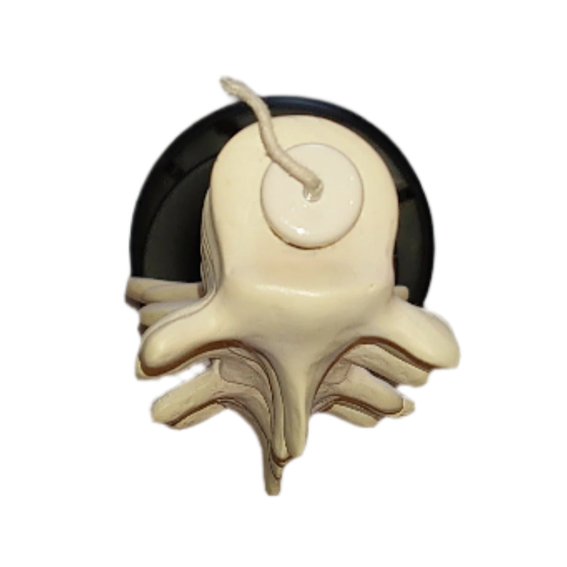Professor Remus Lupin Vertebrae Candle Stick Holder By Noble Collection From Harry Potter And The Prisoner Of Azkaban