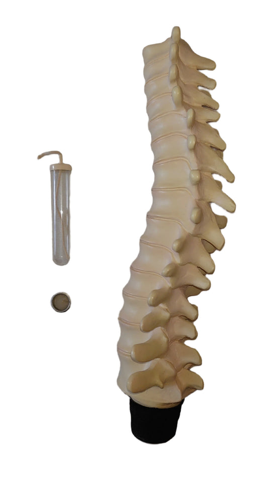 Professor Remus Lupin Vertebrae Candle Stick Holder By Noble Collection From Harry Potter And The Prisoner Of Azkaban