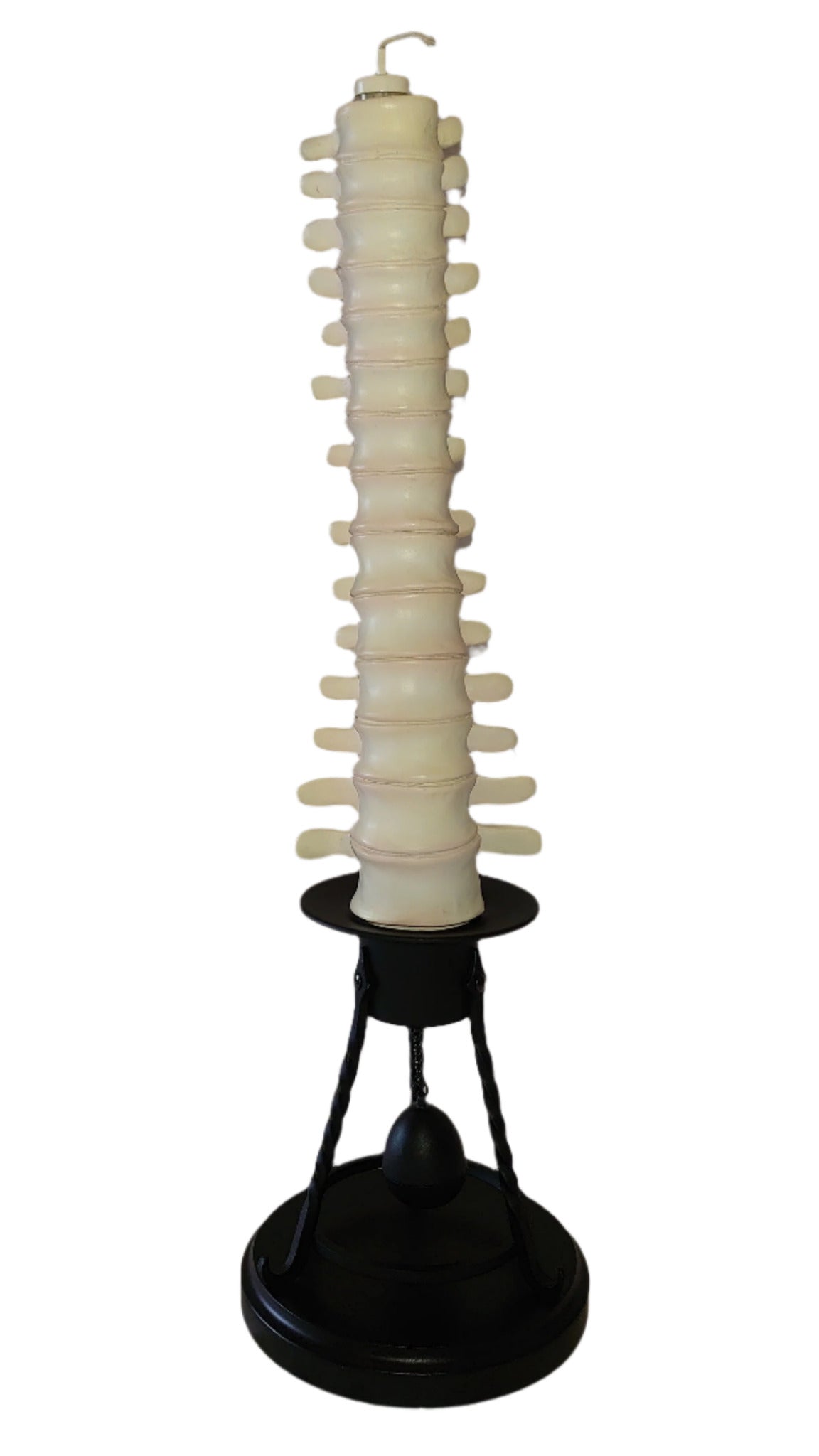 Professor Remus Lupin Vertebrae Candle Stick Holder By Noble Collection From Harry Potter And The Prisoner Of Azkaban