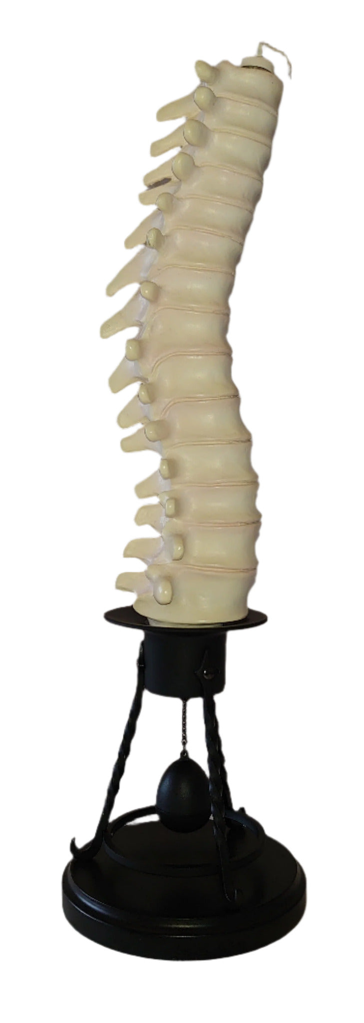 Professor Remus Lupin Vertebrae Candle Stick Holder By Noble Collection From Harry Potter And The Prisoner Of Azkaban
