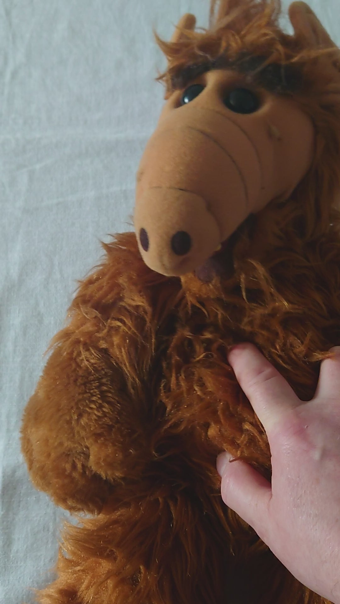 Coleco Industries Inc. Alien Life Form ALF Talking Plush Figure From 1986 Alien Productions